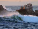 Asilomar State Beach