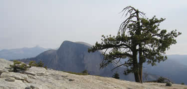 Yosemite